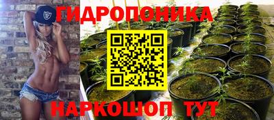 шишки Добрянка