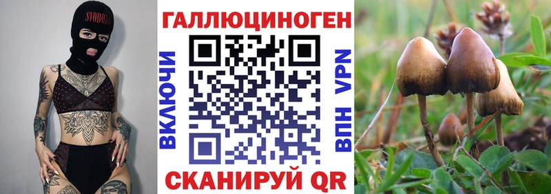 Псилоцибиновые грибы GOLDEN TEACHER  blacksprut ONION  Невинномысск  где продают  